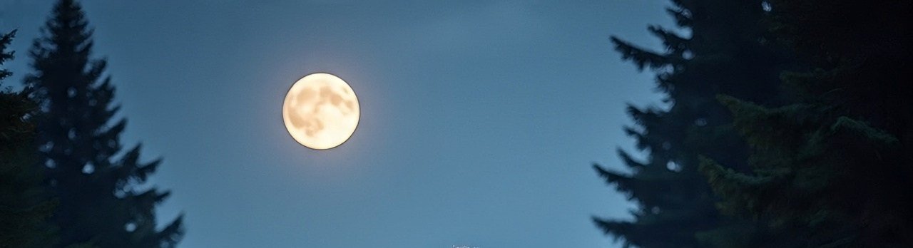 User banner image